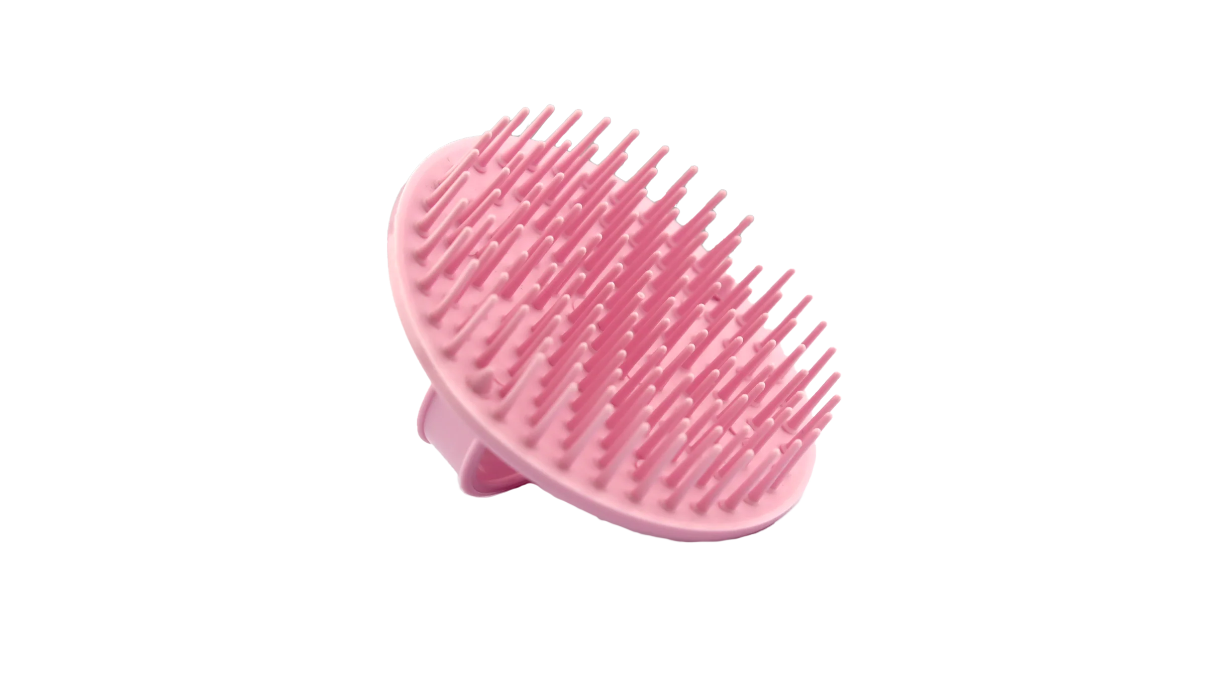 D6 The Shower Brush - Image 18